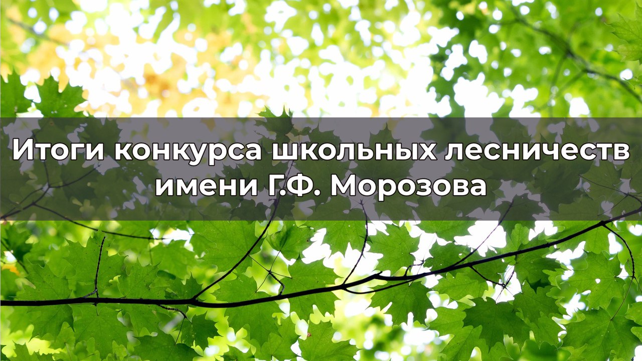 Итоги регионального этапа Всероссийского конкурса школьных лесничеств имени  Г.Ф. Морозова - ГОСУДАРСТВЕННО БЮДЖЕТНОЕ УЧРЕЖДЕНИЕ ДОПОЛНИТЕЛЬНОГО  ОБРАЗОВАНИЯ КОСТРОМСКОЙ ОБЛАСТИ 