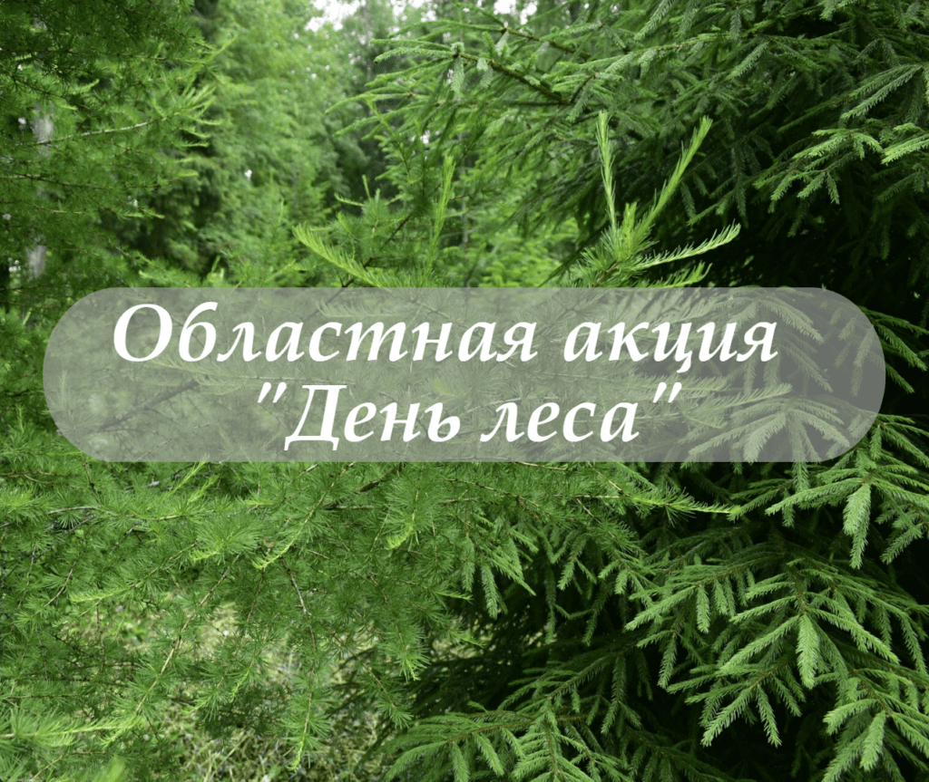 Акция - День леса - ГОСУДАРСТВЕННО БЮДЖЕТНОЕ УЧРЕЖДЕНИЕ ДОПОЛНИТЕЛЬНОГО  ОБРАЗОВАНИЯ КОСТРОМСКОЙ ОБЛАСТИ 